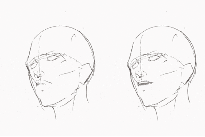 Coloso Neg 講座のポイント