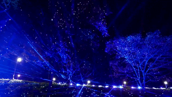 ImageSlide<div style="text-align: center"><b style="font-size:15px; color: #fff;">공산성 백제연화</b></div>