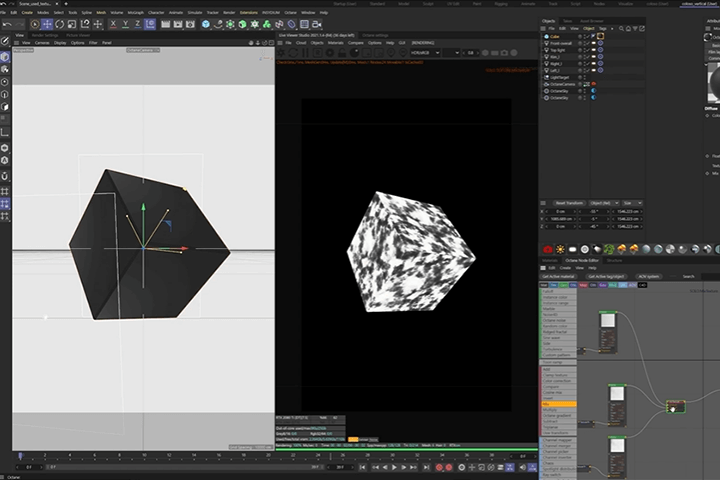 Coloso Florian Renaux Introduction