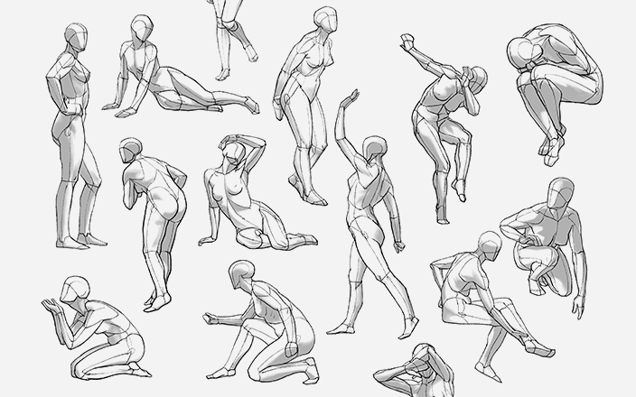 女性の構造で学ぶやさしい美術解剖学