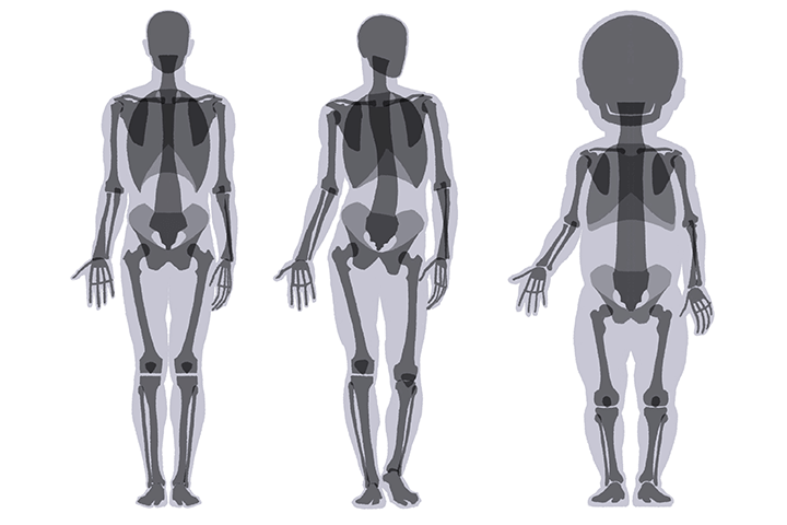 美術解剖学教員 加藤公太 | コロソ.