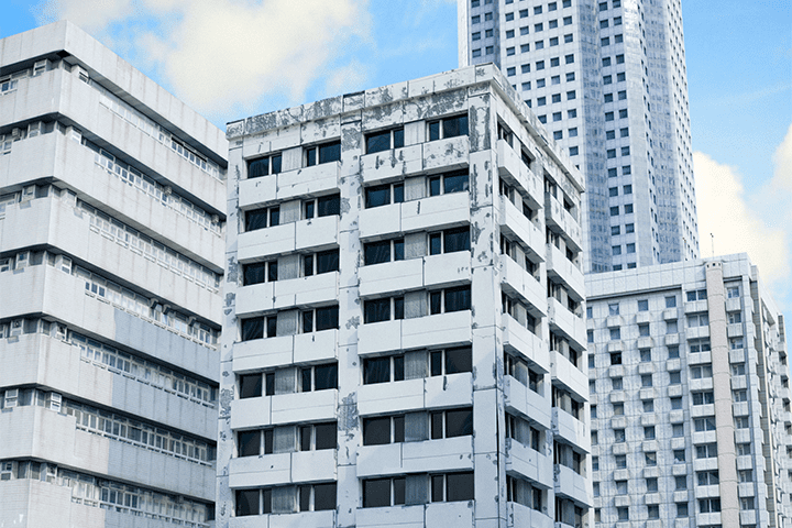 와쿠이 레이 포트폴리오 GIF