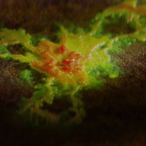 Coloso C4D 마스터 클래스 구성