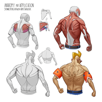 Coloso Gregor Kari A Beginner's Guide to Essential Anatomy