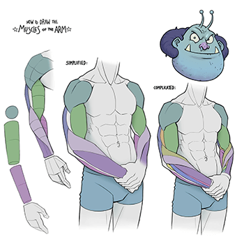 Coloso Gregor Kari A Beginner's Guide to Essential Anatomy