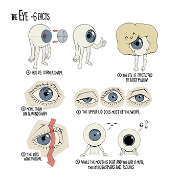 Coloso Gregor Kari A Beginner's Guide to Essential Anatomy