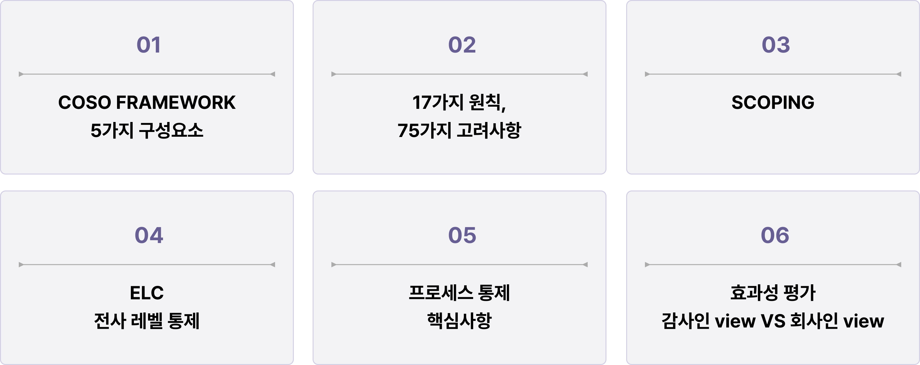 실무 회계 강의 금융아카데미  내부회계관리제도 