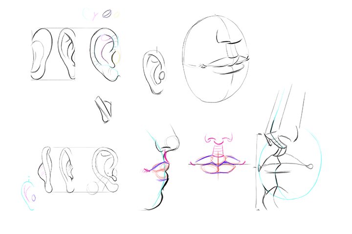 Coloso illustration Class Details