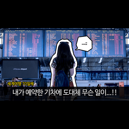 낙타 그래픽디자인 강의 예제