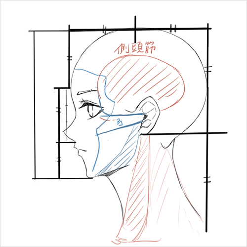 Coloso marumoru 講座例題