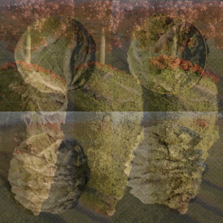 ImageSlide<font color=#fff>디테일 & 배경 요소</font>