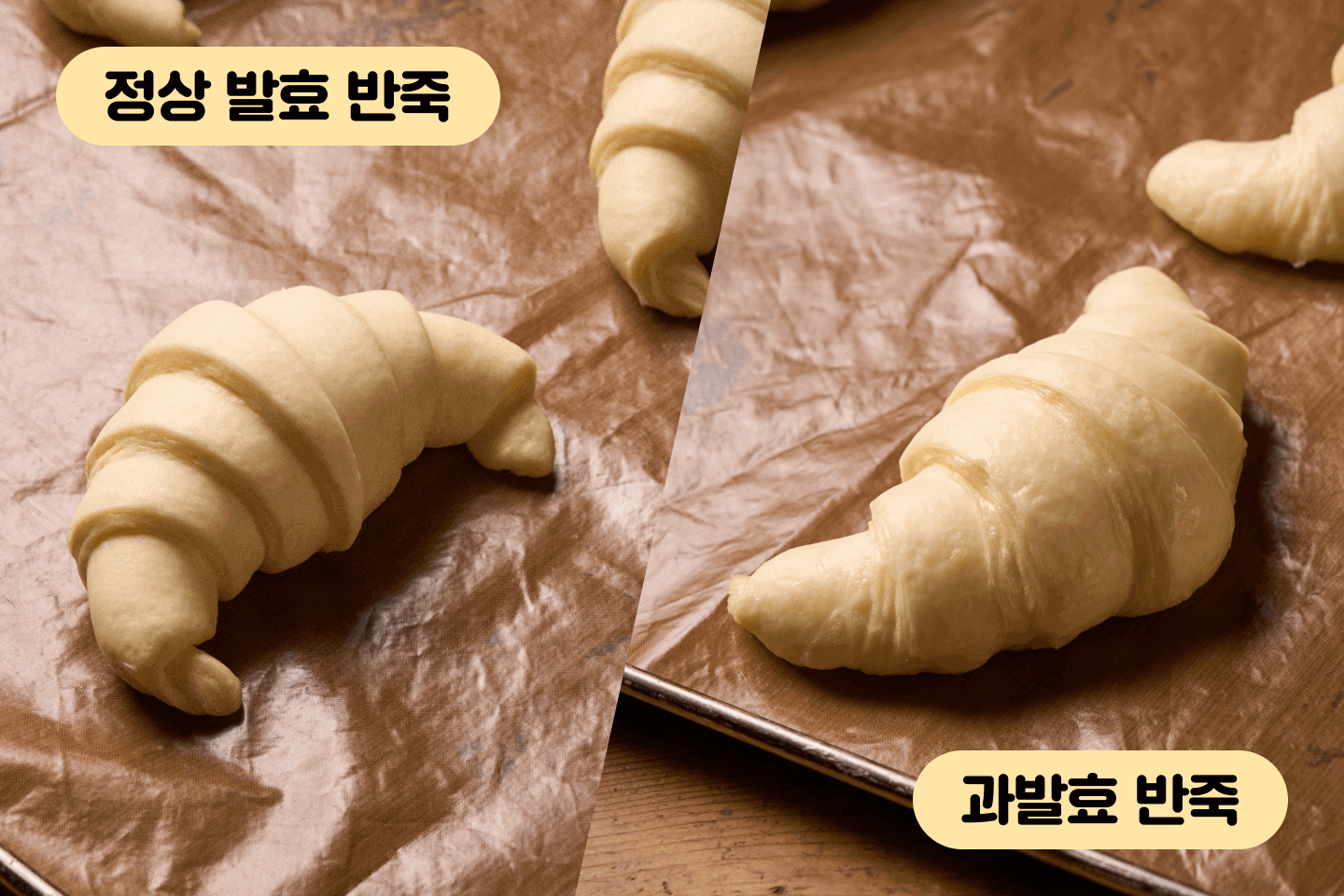 김동윤(테디뵈르하우스) 베이킹 이미지