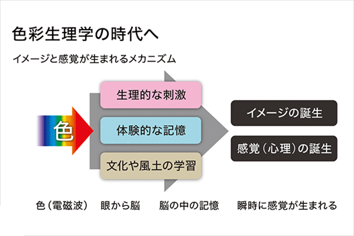 Coloso 視覚デザイン 講座内容