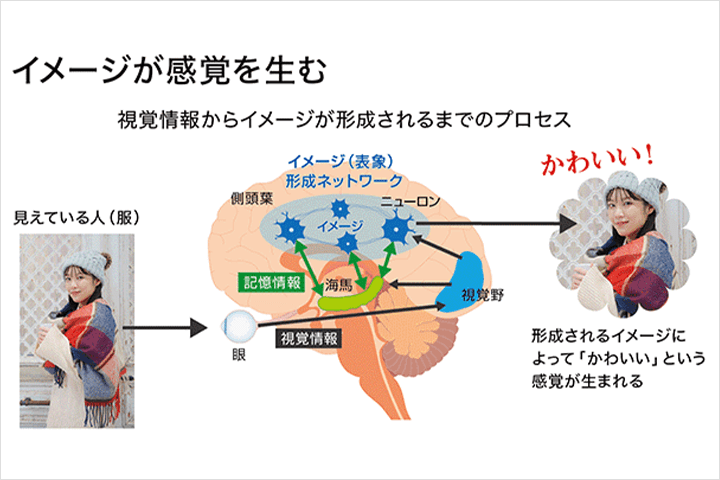 Coloso 視覚デザイン 講座内容