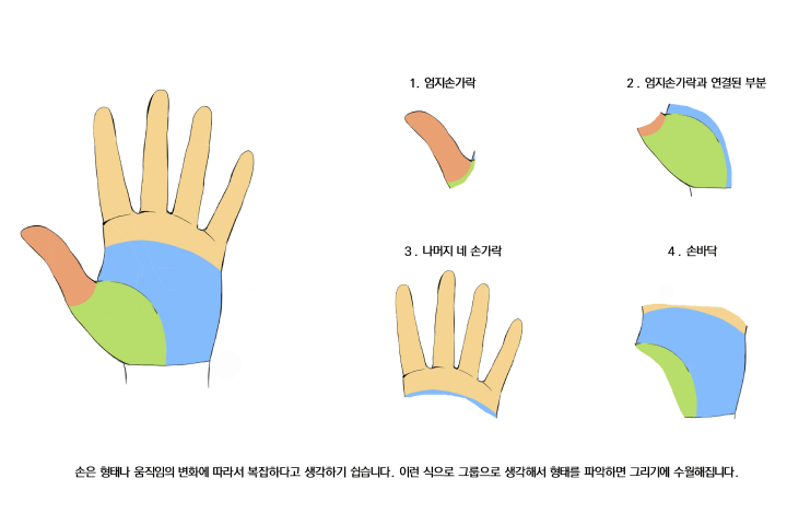 콜로소 2SHAM 강의 소개