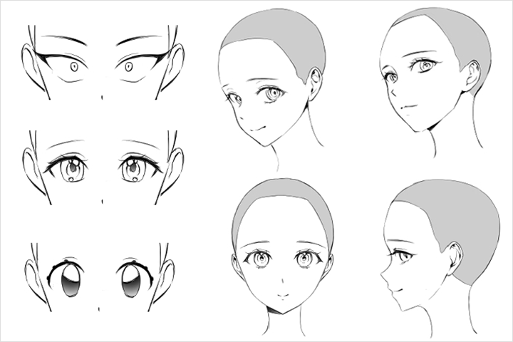 Coloso illustration Class Details