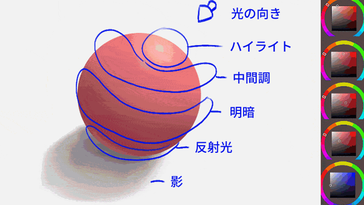 Coloso エキナ カリキュラム
