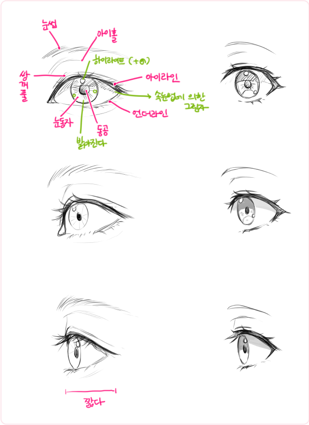 ImageSlide<b style="color:#F795B4;">02</b> <b style="color:#3f0d24;">각도별 눈동자 표현법</b>