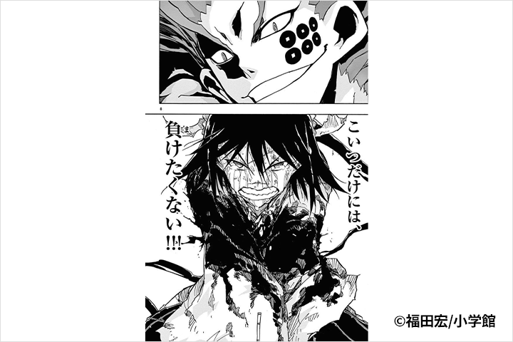 Coloso イラスト 講座内容