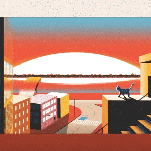 Motion Graphic Designer seven