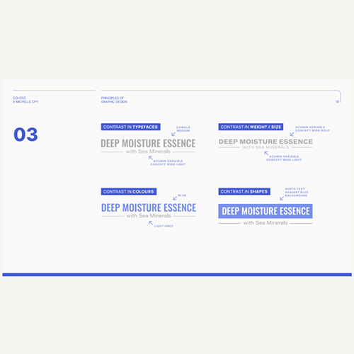 Coloso Graphic Design Class Details
