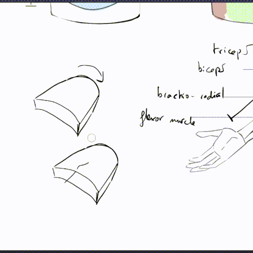 Coloso Fude Exercises