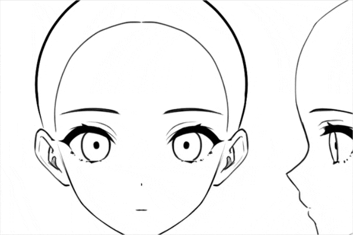 Coloso イラスト 講座内容