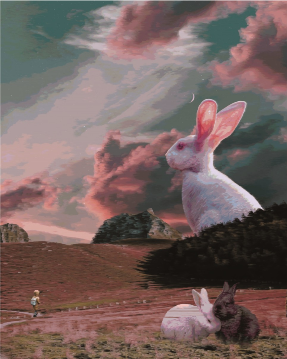 portfolio-design-19