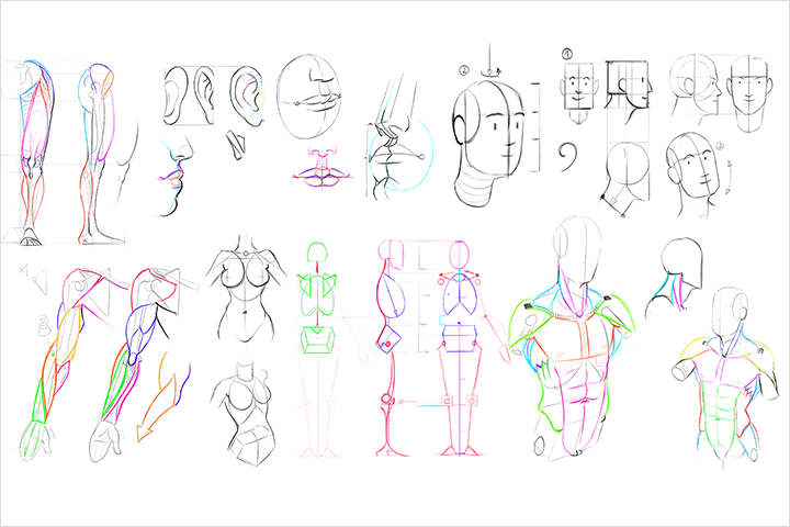 Coloso Illustration Class Details