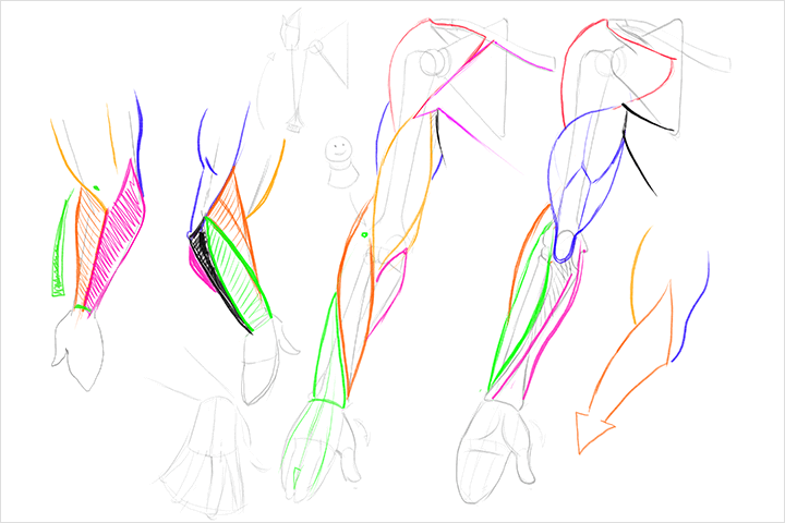 Coloso Illustration Class Details