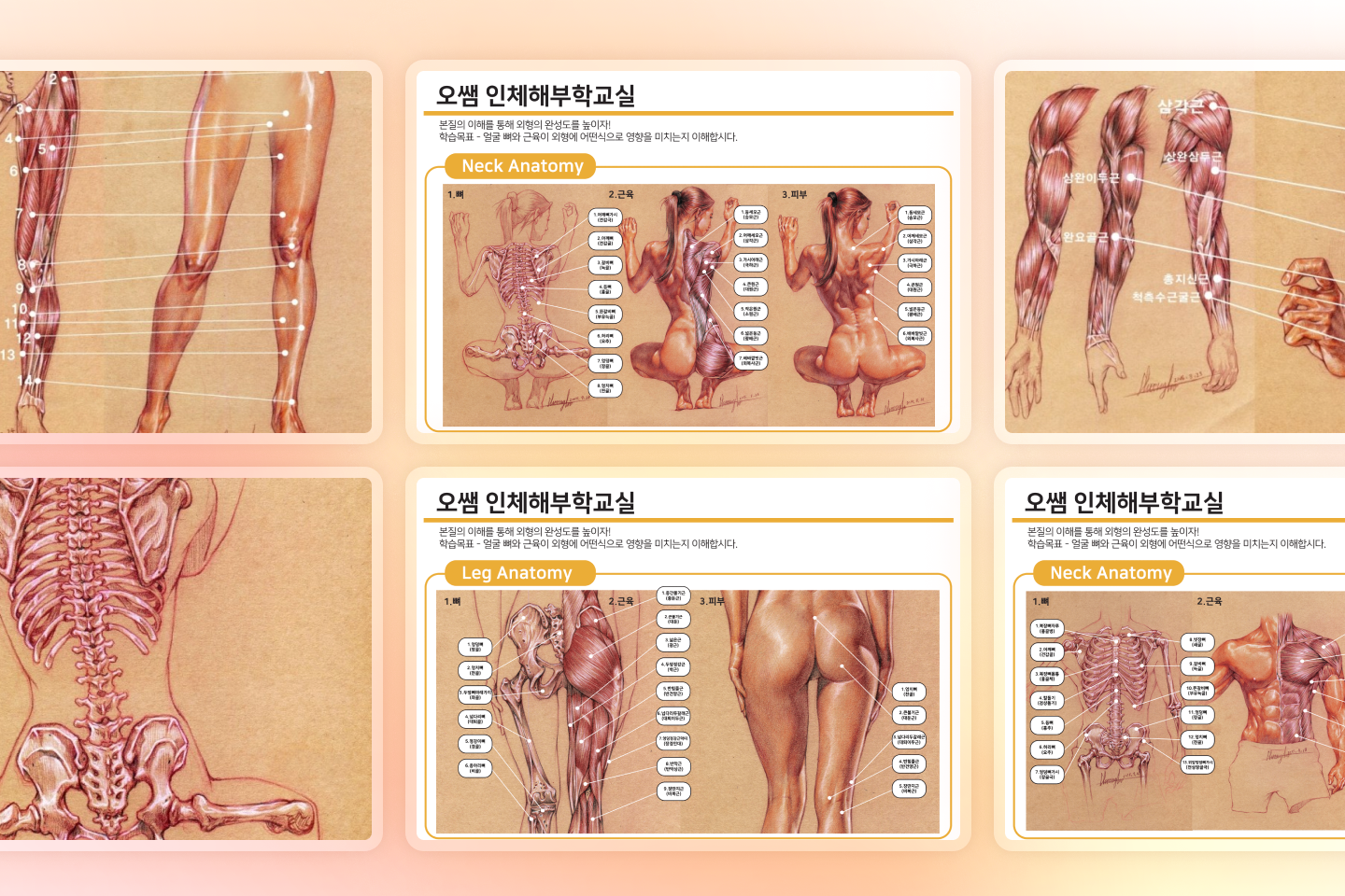 콜로소 이무송 강의 소개