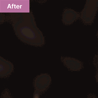 ImageSlide