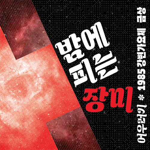 콜로소 그래픽 디자인 강의 예제
