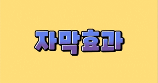 ImageSlide<b>자막 효과 & 바 113종</b>
