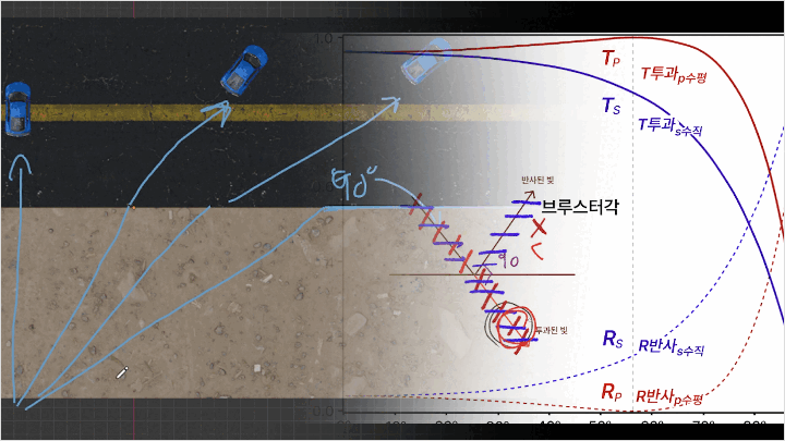 콜로소 일러스트 커리큘럼