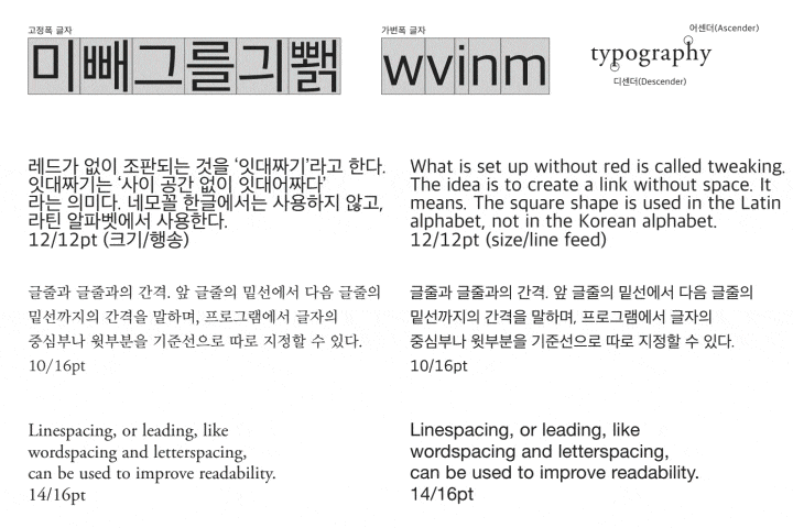 콜로소 그래픽 디자인 이미지