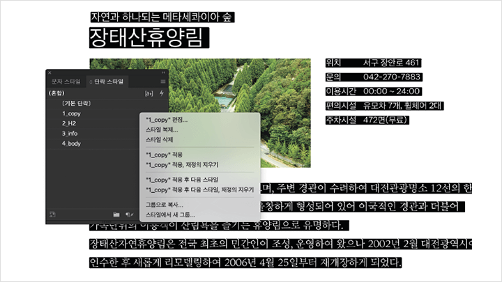 콜로소 그래픽 디자인 커리큘럼