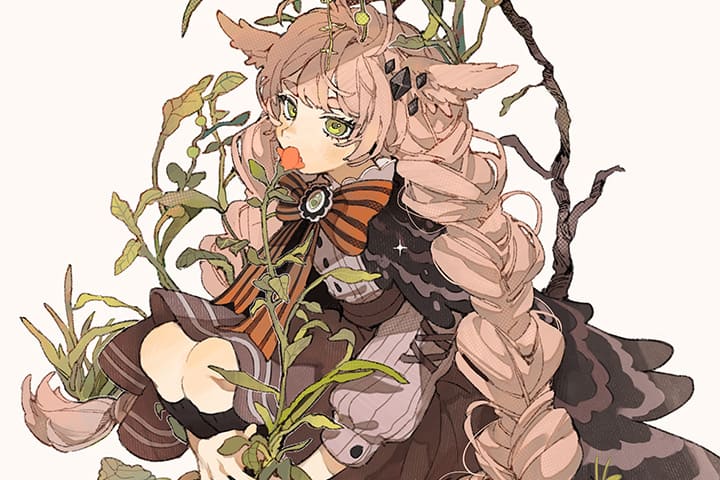 Coloso モカ 講座のポイント