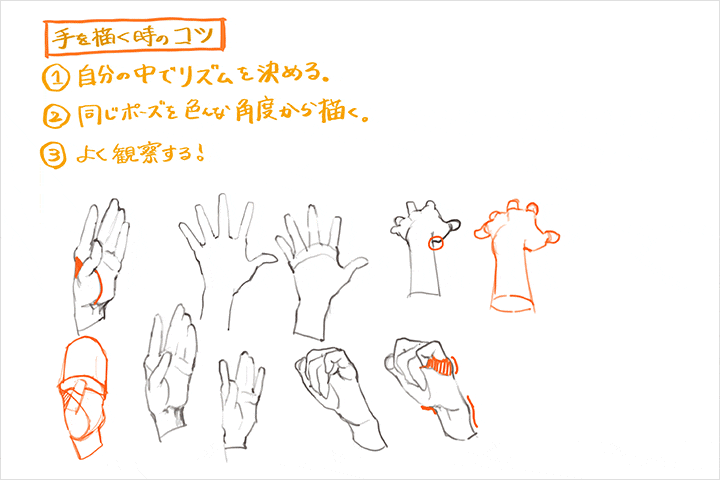 Coloso イラスト 講座内容