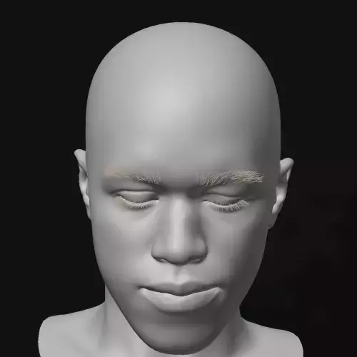 Coloso 映像デザイン 講座内容
