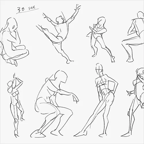 champi Exercises