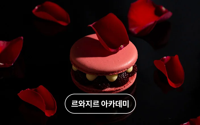 르와지르 아카데미