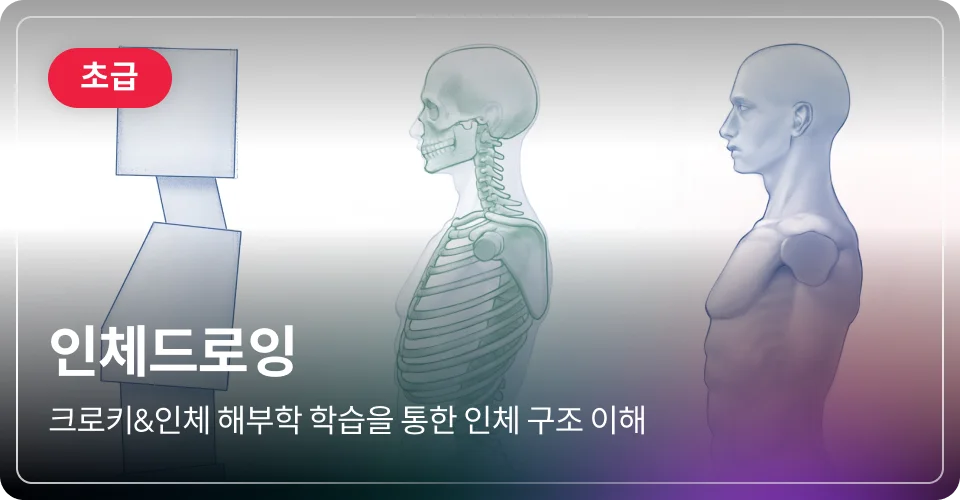 인체드로잉 초급