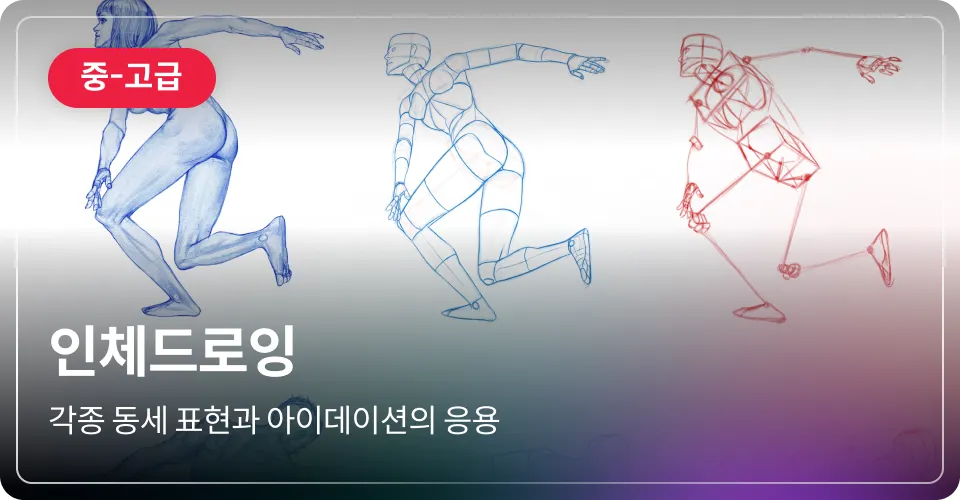 인체드로잉 중고급
