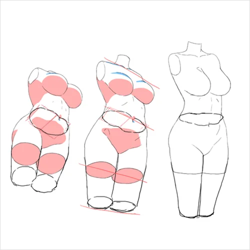 Coloso イラスト 講座内容