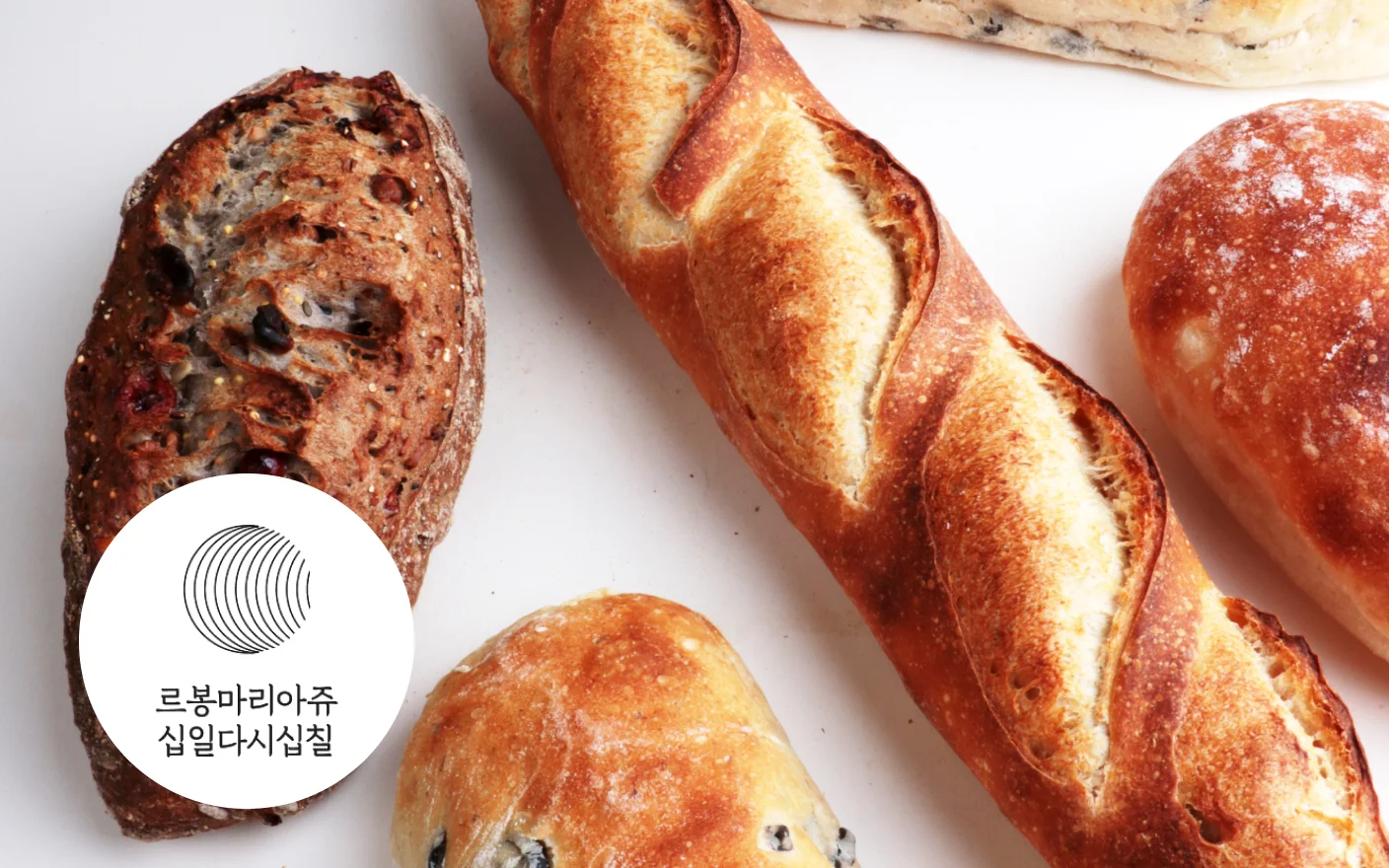 간단하게 만드는 11가지 맛있는 발효빵