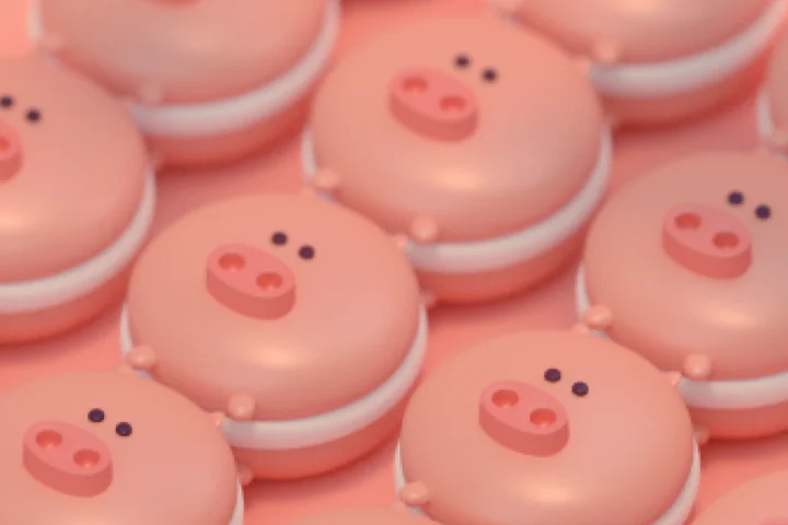 콜로소 100강사전 클래스 구성