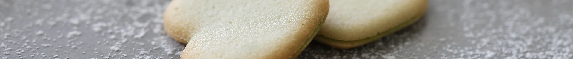 배경 이미지