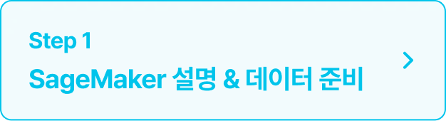 ImageSlide<details> <summary>
<span style="font-size:14px; color:#000000">
<b>자세히 보기
<u style="color:#00C5EB;>
<b style="cursor:pointer;">Click!</b></u></span> </summary>
<hr>
<span style="color:#282828;">
<span style="font-size:14px; color:#000000">∙Free Account 신청 및 환경 설정<br>
∙Data Labeling <br>
∙Feature Engineering<br>