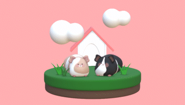 ImageSlide